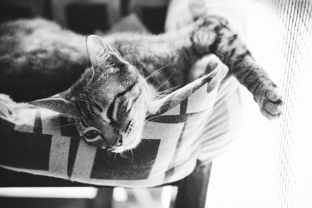 20170605_134240094_ios-1