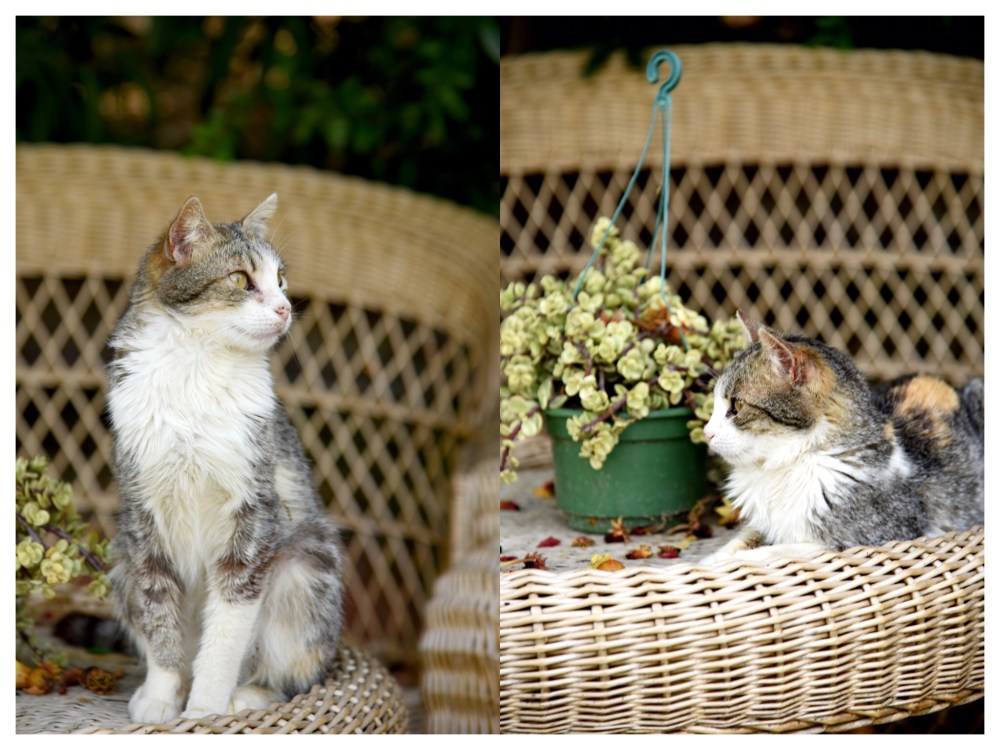 20170605_201913000_ios-1